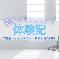 霊視カウンセリング体験記（依頼してくださった方からの感想）